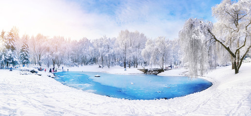 Bevroren ijsmeer in de winter in een park in het bos bij zonnig weer een panoramisch uitzicht met een blauwe lucht en witte wolken. Wallpaper mooie fee winter natuur bij een roze dageraad.