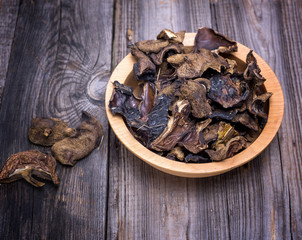 dry forest mushrooms