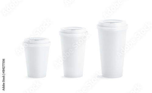 Download Blank White Disposable Paper Cup Mock Ups With Closed Lids Isolated 3d Rendering Empty Coffee Drinking Mug Mockup Front View Clear Tea Take Away Plastic Package Cofe Shop Branding Template Wall Mural Alexandr