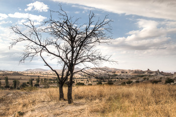 Inside the red and rose valley in Cappadocia in Turkey
