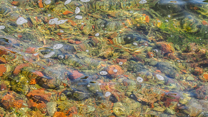 Crystal clear lake water background