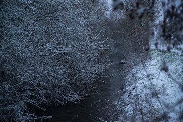 small river in snowy forest