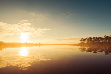 Obraz premium Fog rises over Marsh Lake at sunrise in Pine forest