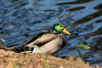 綺麗に撮れよ！