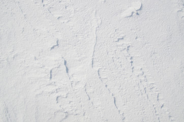 white snow texture