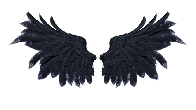 3d Illustration Demon Wings, Black Wing Plumage Isolated on White Background