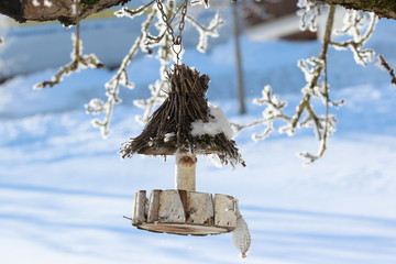 Vogelh&auml;uschen in einem Baum