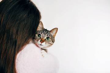 beautiful girl hugs a cat, girl holding a beautiful cat, gentle picture of a cat and girl, girl in...