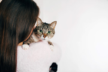 beautiful girl hugs a cat, girl holding a beautiful cat, gentle picture of a cat and girl, girl in a soft pink jacket