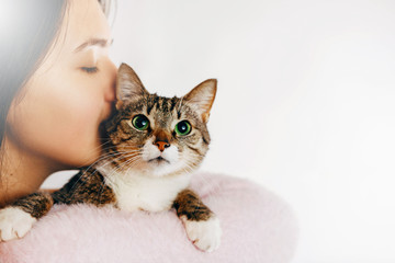 girl kisses a beautiful cat, beautiful girl hugs a cat, girl holding a cat, gentle picture of a...