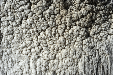 Salt Deposition Pattern on an Wall, in a Salt Mine