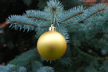 New Year's ball on a ribbon hanging on a Christmas tree. Background for a Christmas card or invitation.
