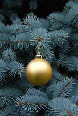New Year's ball on a ribbon hanging on a Christmas tree. Background for a Christmas card or invitation.