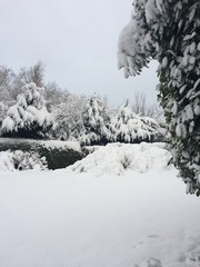 Zauberhafte Winterwelt im Garten