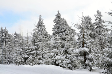 Winter trip in the Ore Mountains in Klinovec Czech Republic