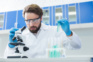 Serious pleasant man scientist working in the lab