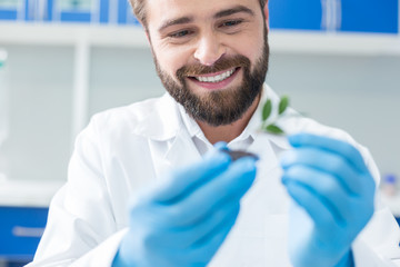 Joyful positive biologist looking at the plant