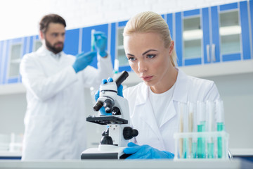 Fototapeta premium Serious female biologist looking into the microscope