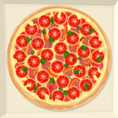 Pizza with salami, tomatoes, sweet pepper and cheese in a box.