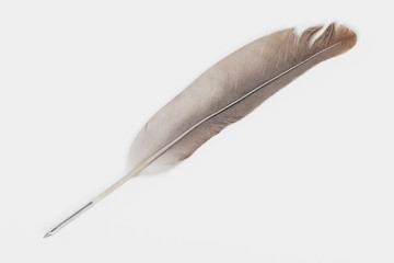 realistic 3d render of quill pen