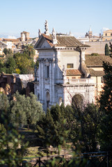 Obraz premium Roman Forum, Rome