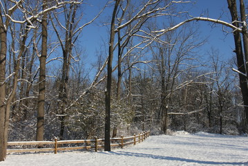 Winter has arrived. The winter landscapes  with snow and the bright sunshine.
