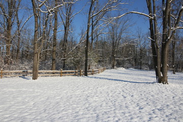 Fototapeta premium Winter has arrived. The winter landscapes with snow and the bright sunshine.