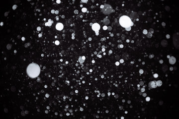 Real snow on black background