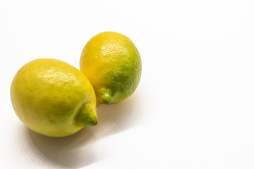 Group of ripe whole yellow lemon citrus fruit isolated on white background with clipping path