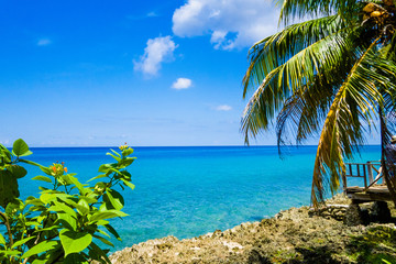 Palm trees in San Andres, Colombia in a beautiful beach background