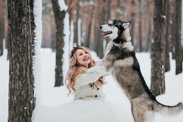 Cute bride is playing with siberian husky on background of white snow. Winter wedding. Artwork. © stakhov