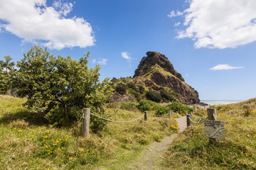 Lion Rock, Piha, Auckland Region, New Zealand, with path through sand dunes and wild flowers.