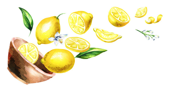 Bowl with lemons. Hand drawn horizontal watercolor illustration
