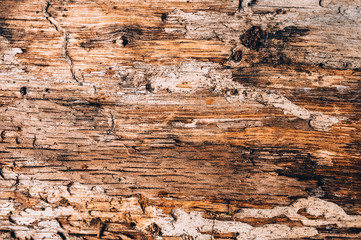 Naklejka na ściany i meble Wooden background, nice texture