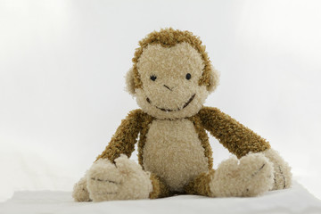 Brown monkey Doll on a white background.
