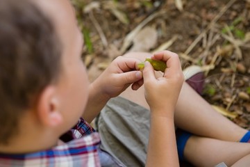 Boy preparing a bait in the forest
