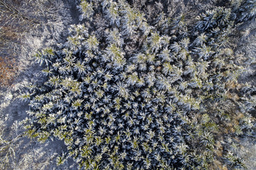 Aerial winterwonderland view with drone of snowy forest in Lower Austria