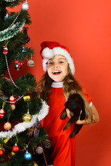 Pet for Christmas. Kid with cheerful face by xmas tree