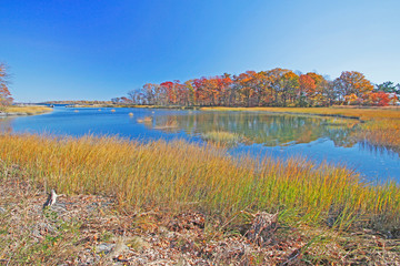 Twin Island salt marsh, Pelham Bay Park, NYC