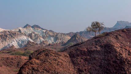 Colored desert mountains with tree on the top
