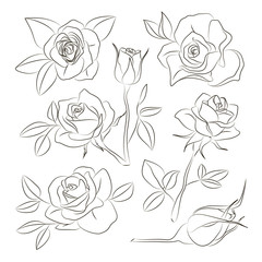Rose set icons