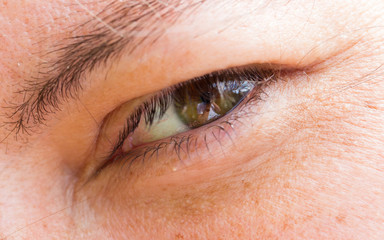Fototapeta na wymiar Close up of a female eye