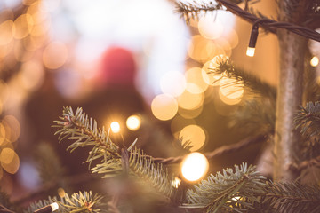 Tannenzweige und Lichterkette auf Weihnachtsmarkt, Christbaum