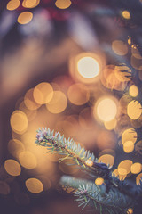 Tannenzweige und Lichterkette auf Weihnachtsmarkt, Christbaum - obrazy, fototapety, plakaty