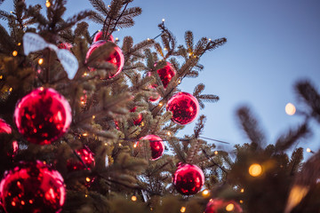 Rote Christbaumkugeln auf Christbaum/Weihnachtsbaum, Weihnachtsmarkt