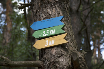 Indicators of the direction of movement and distance in the forest.