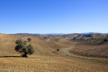 Fototapeta na wymiar spanish arable fields