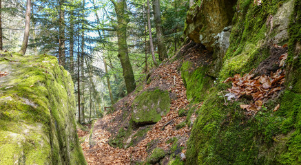 Wanderung, Buchberger