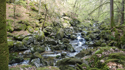 Wanderung, Buchberger