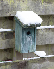 Birdhouse covert in snow